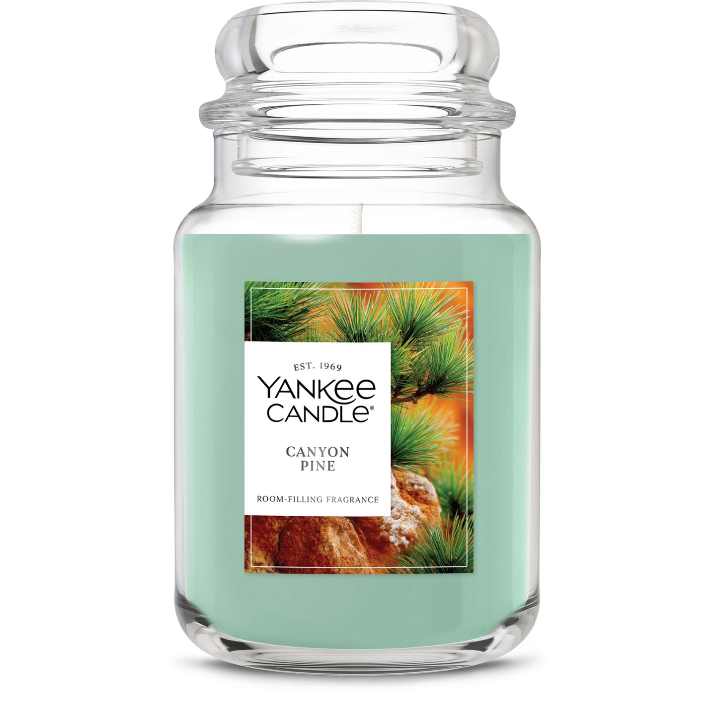 Canyon Pine (S4H22)