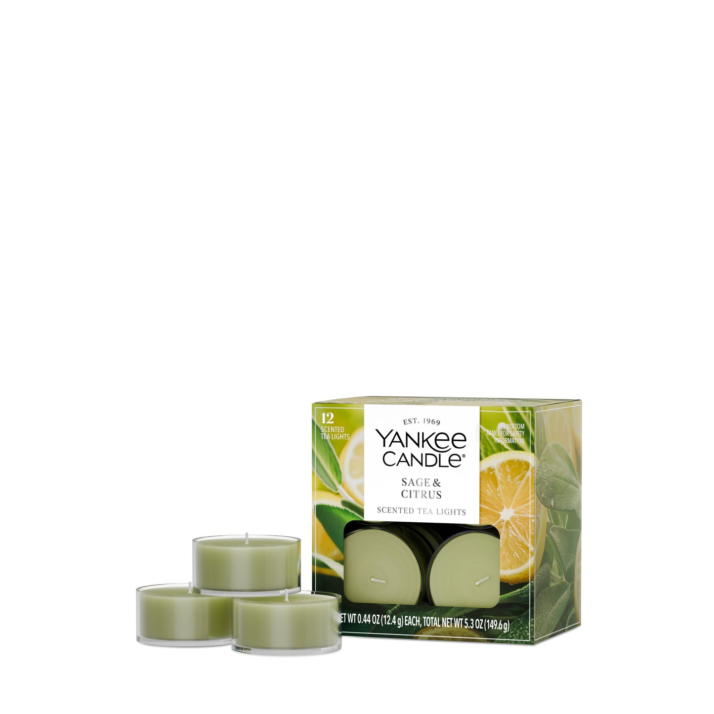 Sage & Citrus Studio 8-0788