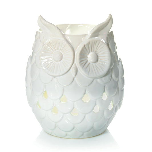 Owl (S4YG8)