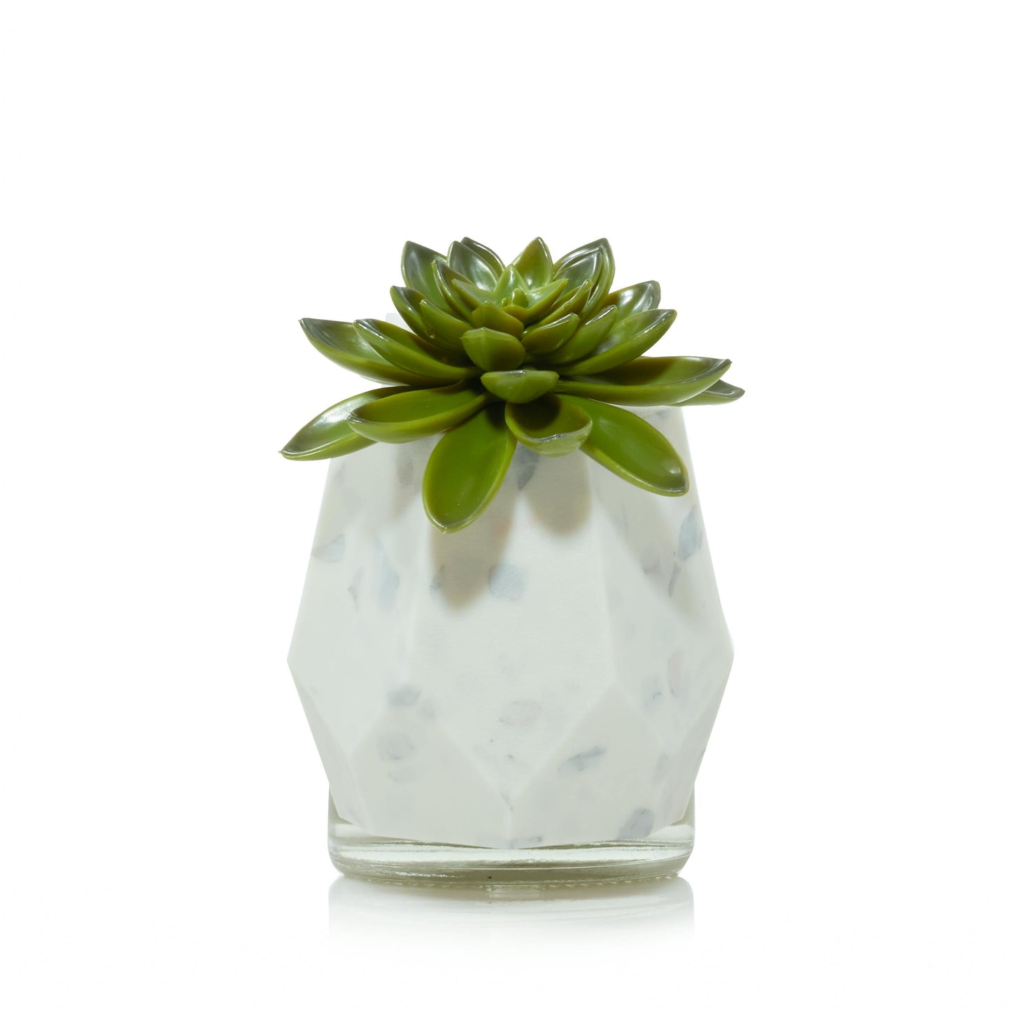 Faceted Succulent ScentPlug® Diffuser with Light (S426K)
