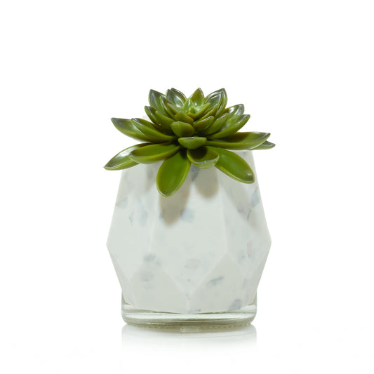 Faceted Succulent ScentPlug® Diffuser with Light (S426K)