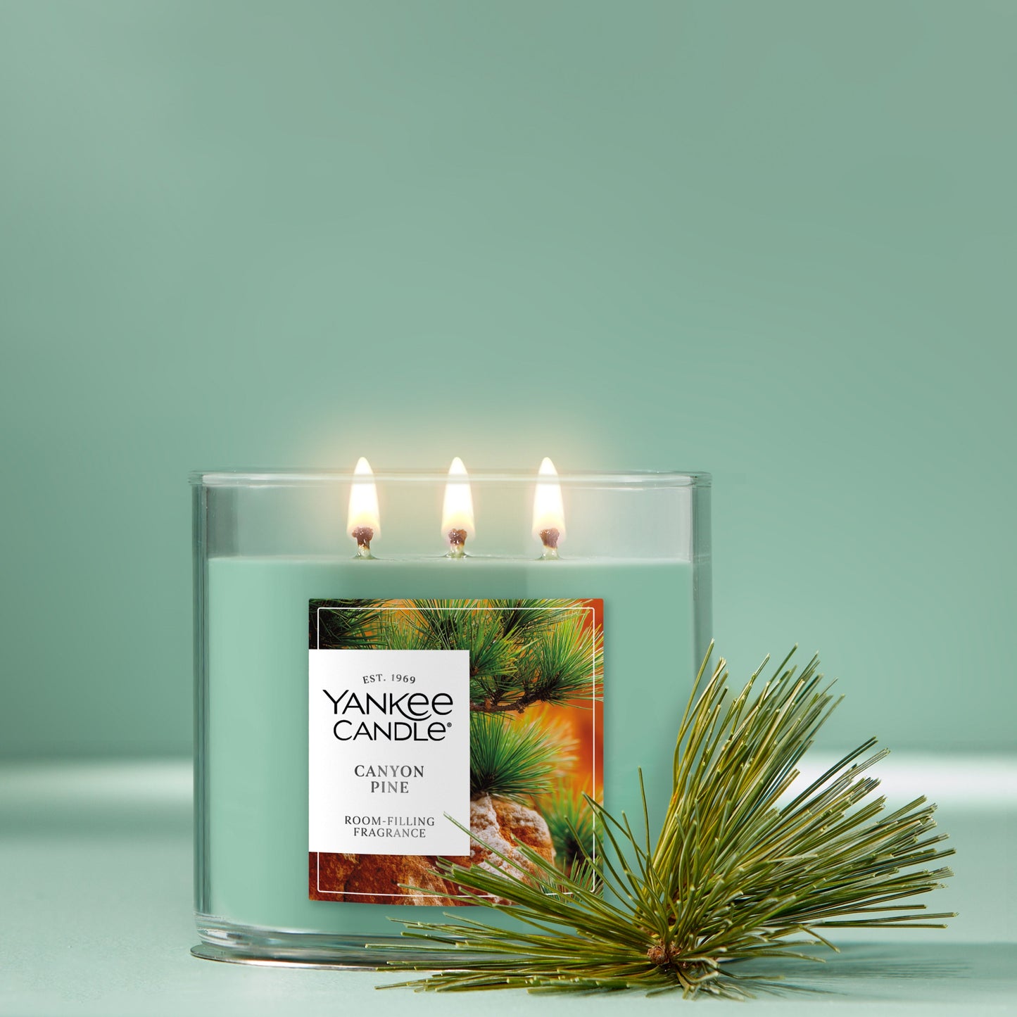 Canyon Pine